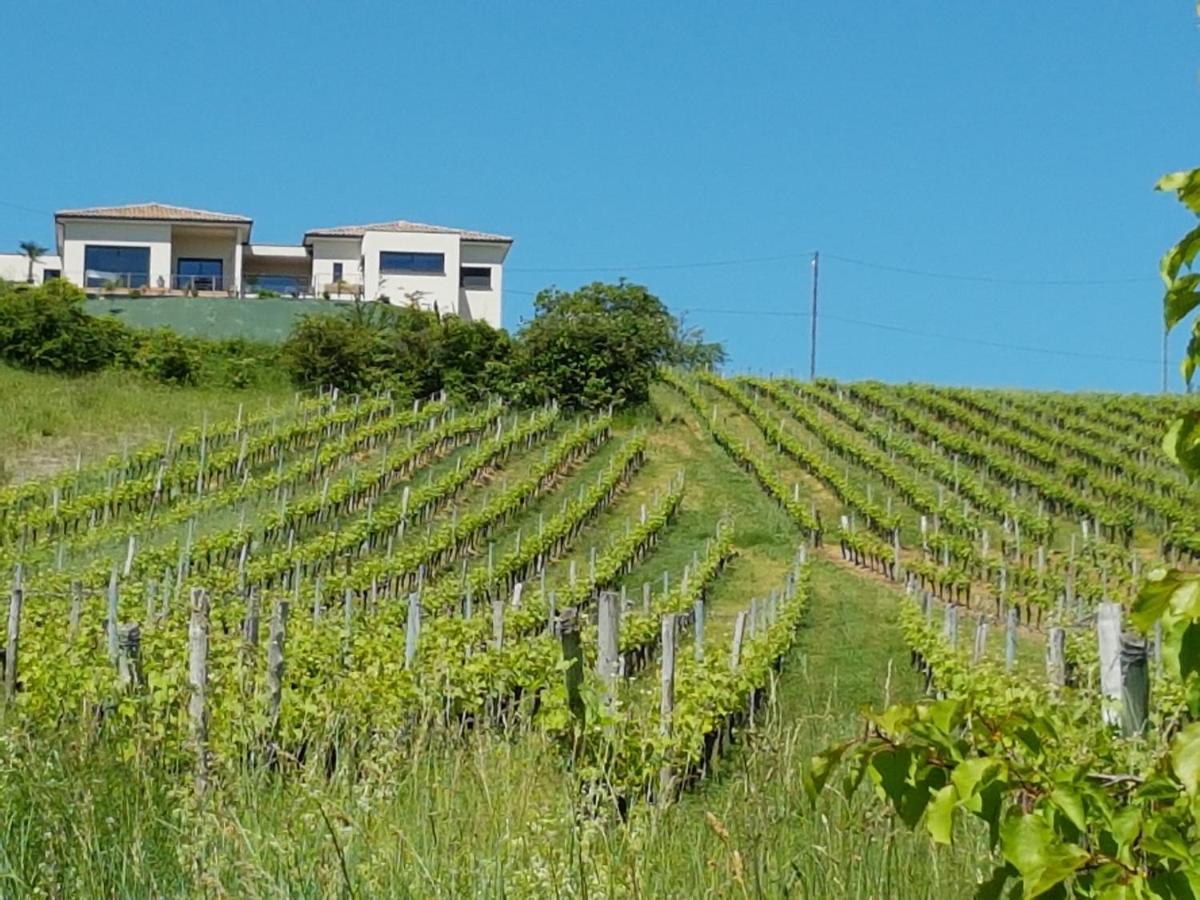 Gite Las Colina Rabastens Экстерьер фото